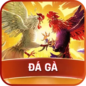 thumb đá gà