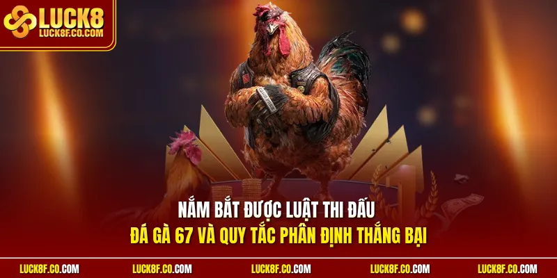 Nắm bắt được luật thi đấu đá gà 67 và quy tắc phân định thắng bại